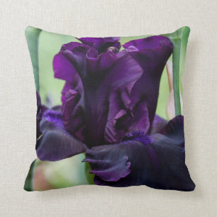 Pillow with Iris that you must touch.