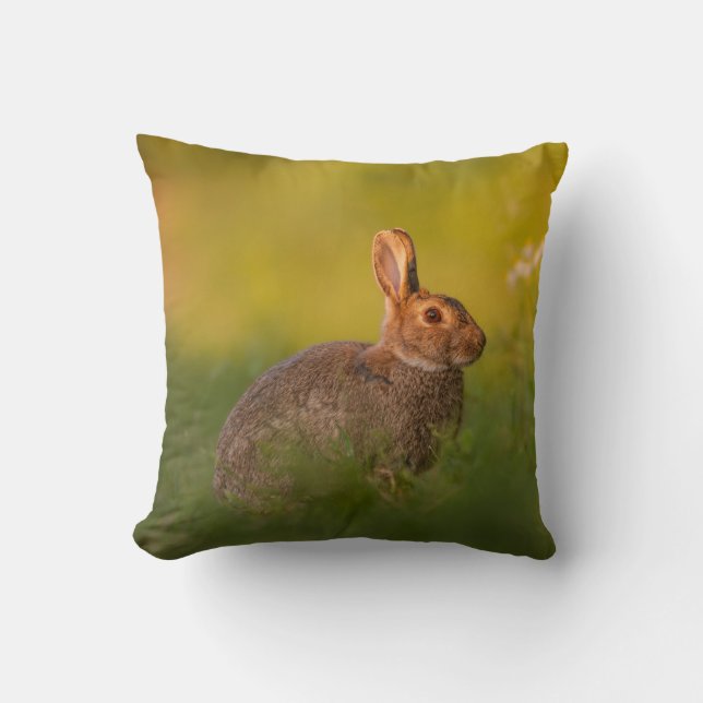 Pillow with rabbit in evening light (Front)