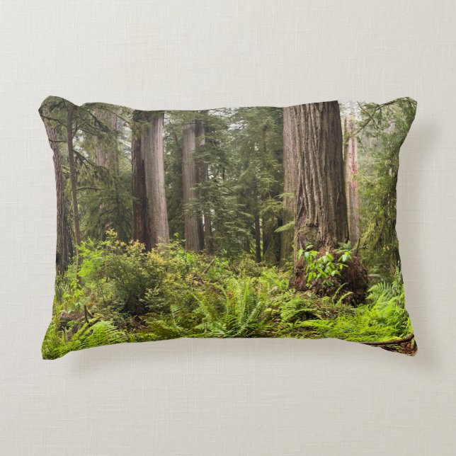 Pillow with Redwoods Trees  (Front)