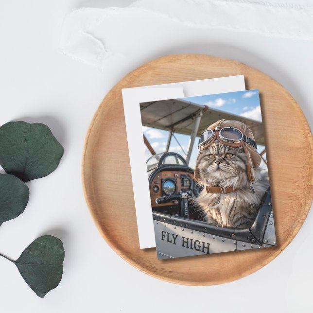 Pilot Cat Aeroplane Fly High Humour Funny Birthday Postcard (Front )