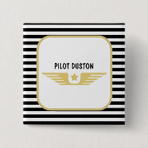 Pilot destination aviation