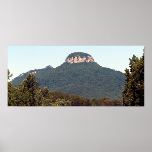 Pilot Mountain Poster (Front)