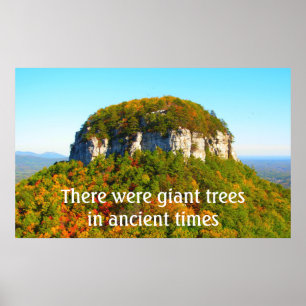 Pilot Mountan Landscape and Trees Poster