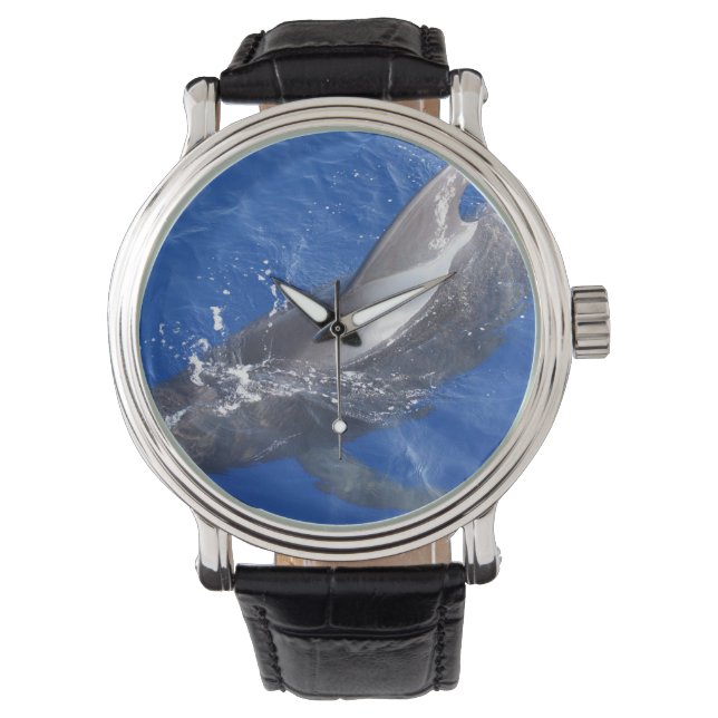 Pilot Whale in Hawaii Watch (Front)