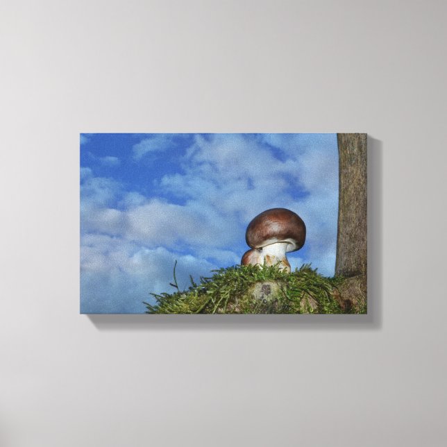 Pilz - Zeit Canvas Print (Front)
