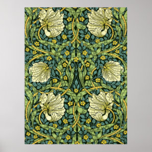 Pimpernel, Infinity Dots by After William Morris Poster