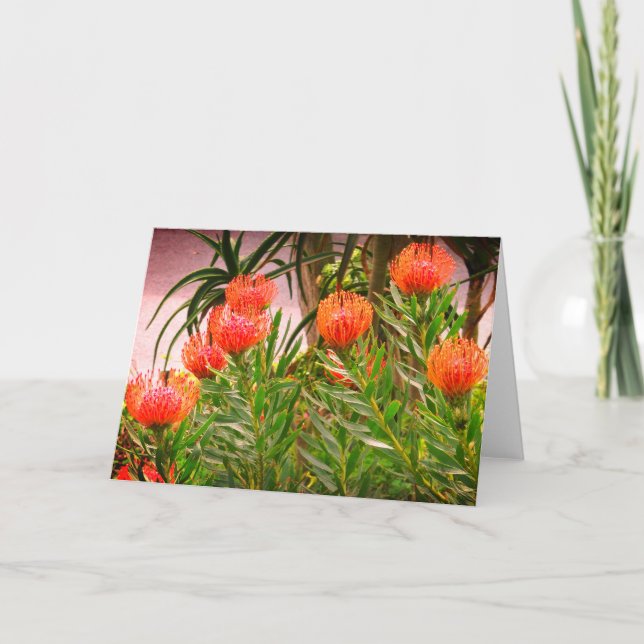 Pincushion Tango #1 Card (Front)