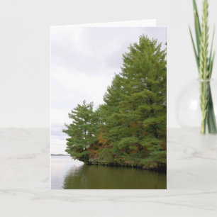 Pine at the Point - Blank Inside Greeting Card