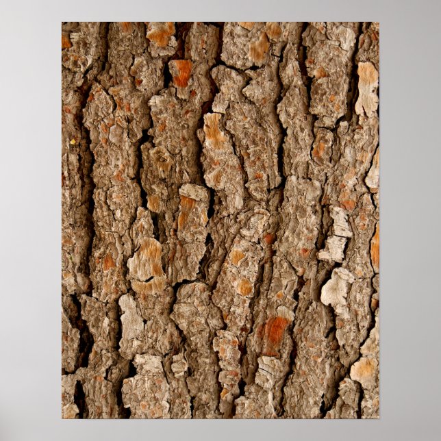 Pine Bark Abstract Poster (Front)
