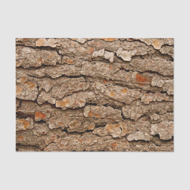 Pine Bark Texture  Tissue Paper (Front)