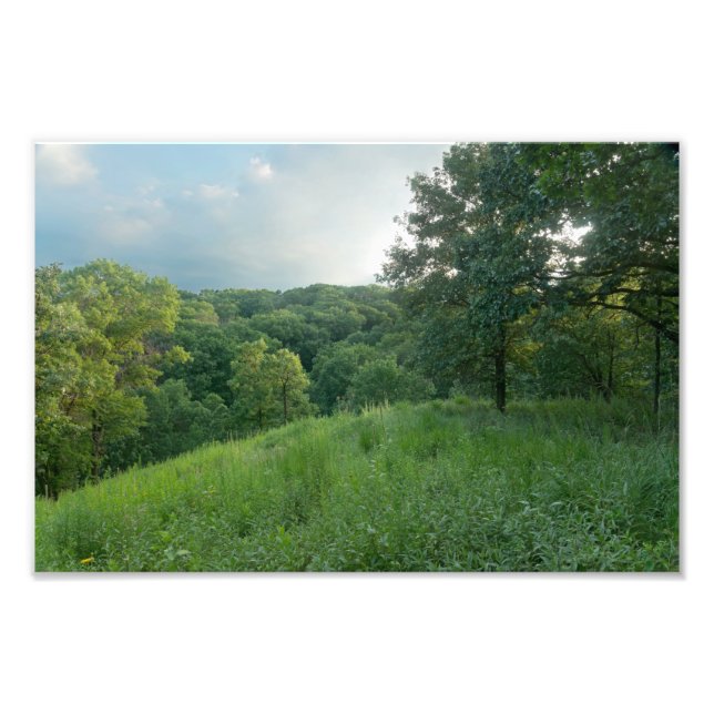 Pine Bend Bluff Overlooking Valley Woodlands Photo Print (Front)