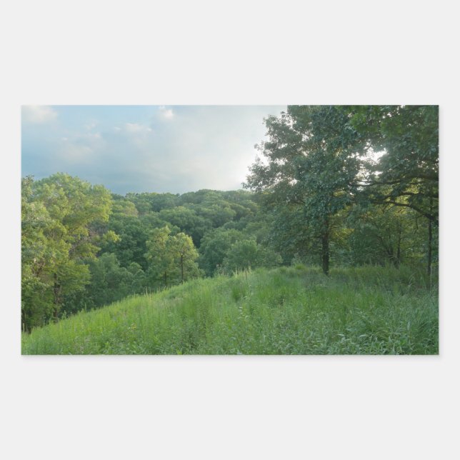 Pine Bend Bluff Overlooking Valley Woodlands Rectangular Sticker (Front)