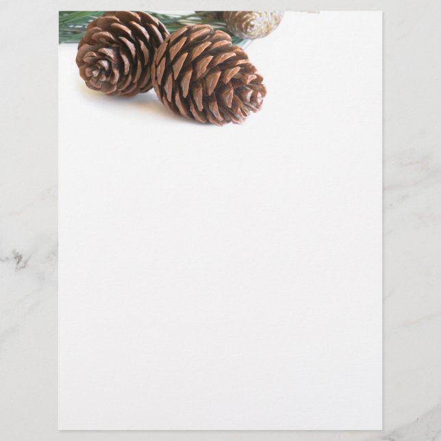 Pine branch and cones (Front)