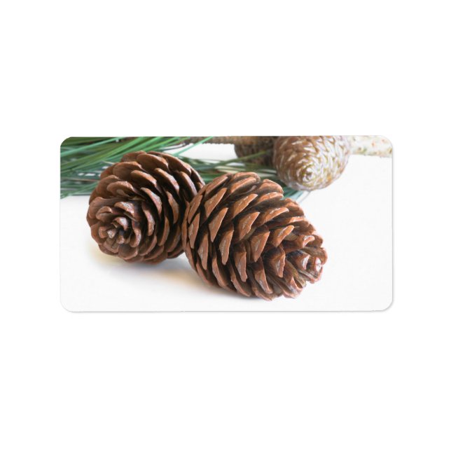 Pine branch and cones label (Front)