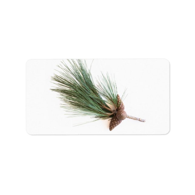 Pine branch and cones label (Front)