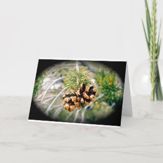 Pine Cone All-Occasion Greeting Card