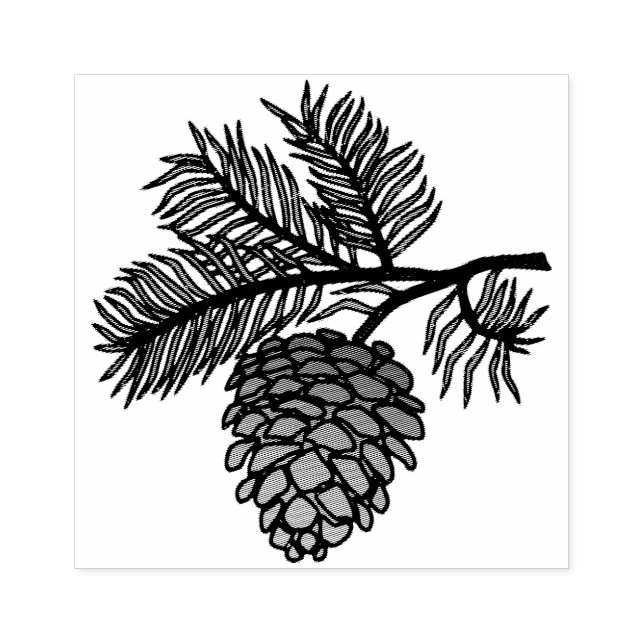 Pine Cone and  Branch  Rubber Stamp (Imprint)