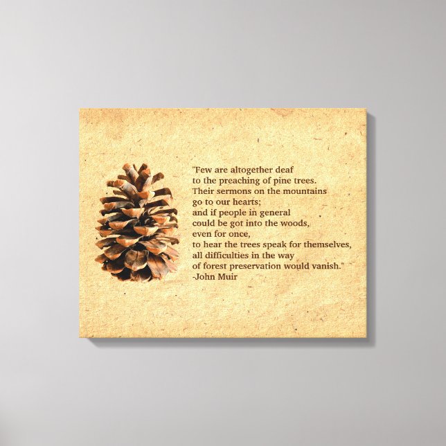 Pine Cone And John Muir Quote Canvas Print (Front)