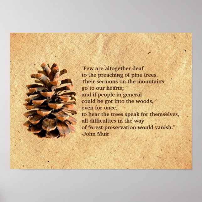 Pine Cone And John Muir Quote Poster (Front)