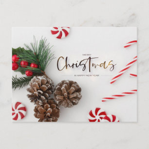 Pine Cone & Candy Cane Greetings Holiday Postcard