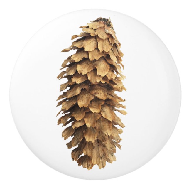 Pine cone  ceramic knob (Front)