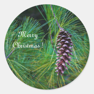 PIne Cone Classic Round Sticker