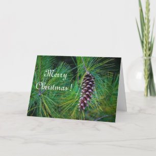 PIne Cone Holiday Card