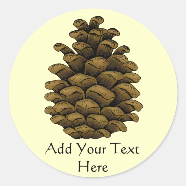 Pine cone Illustration Classic Round Sticker (Front)
