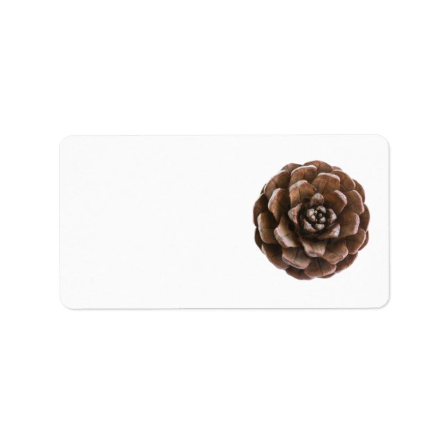 Pine cone label (Front)