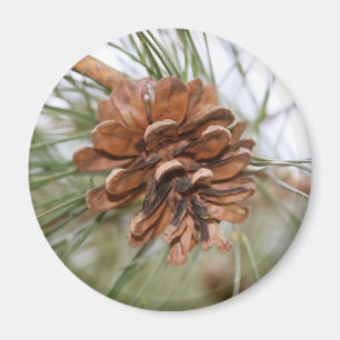 Pine Cone Magnet