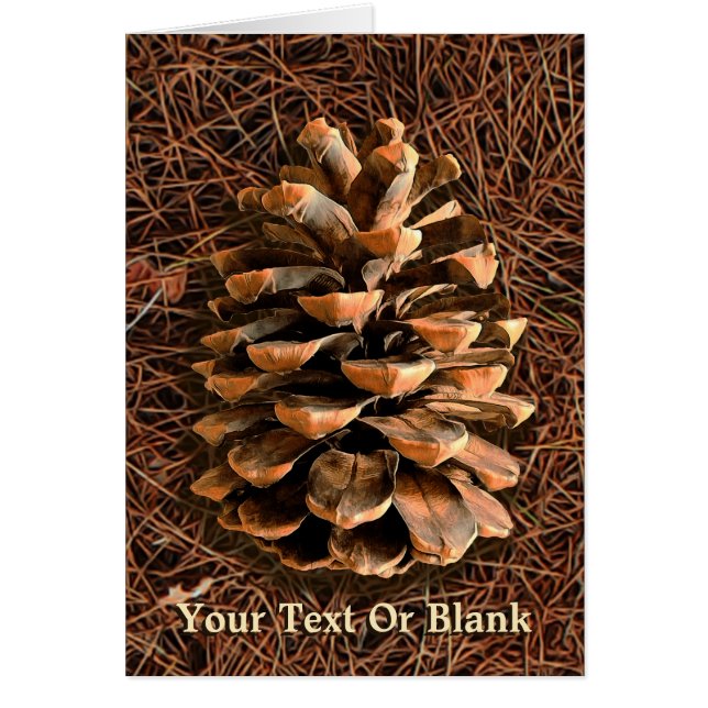 Pine Cone On Fallen Needles (Front)