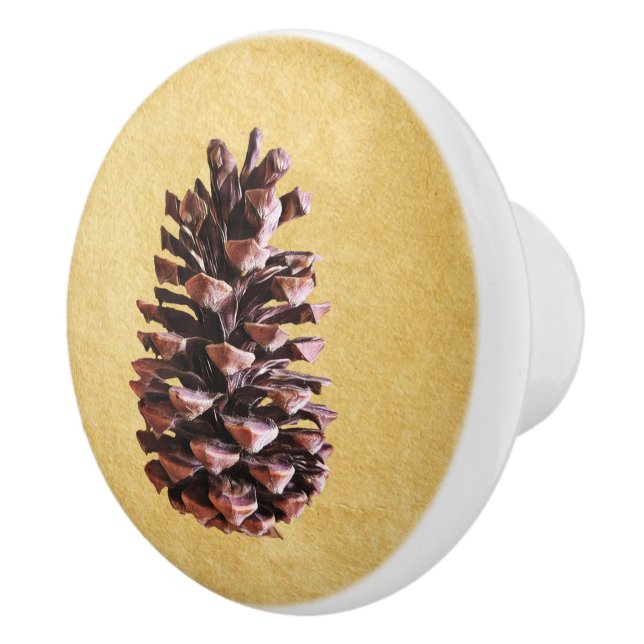 Pine Cone On Vintage Paper Ceramic Knob (Right)