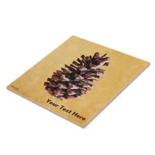 Pine Cone On Vintage Paper Tile