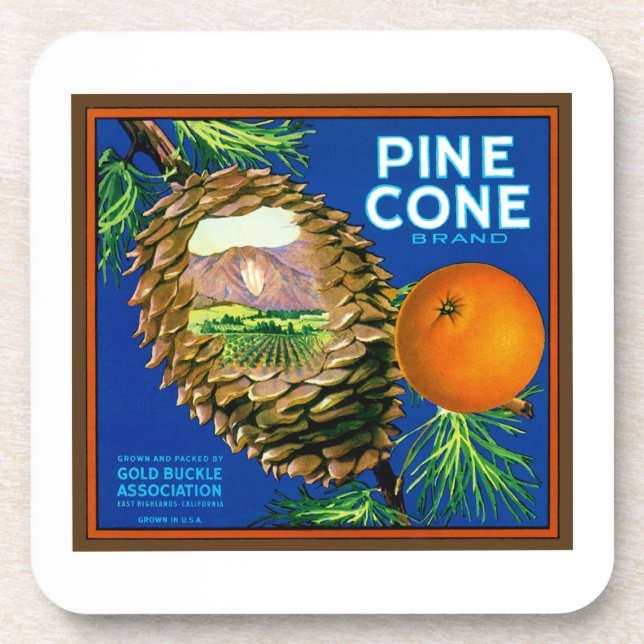 Pine Cone Oranges Coaster (Front)