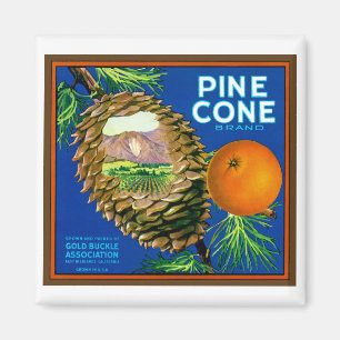 Pine Cone Oranges Magnet