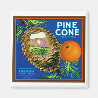 Pine Cone Oranges Magnet