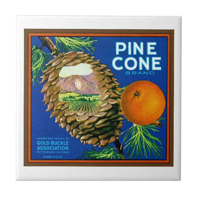 Pine Cone Oranges Tile (Front)