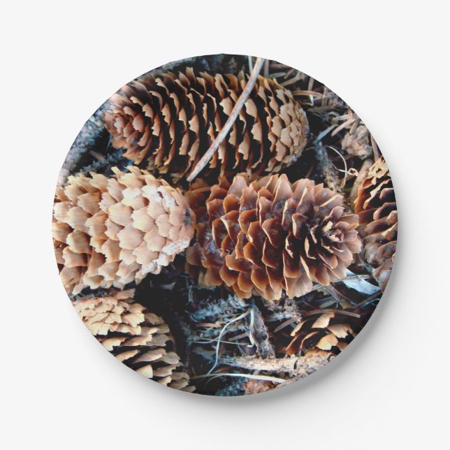 Pine Cone Party Plate (Front)
