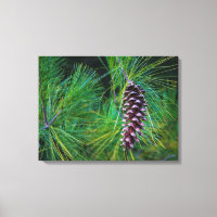 Pine Cone Portrait