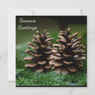 Pine Cone Seasons Greetings Postcard