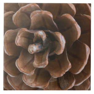 Pine cone tile