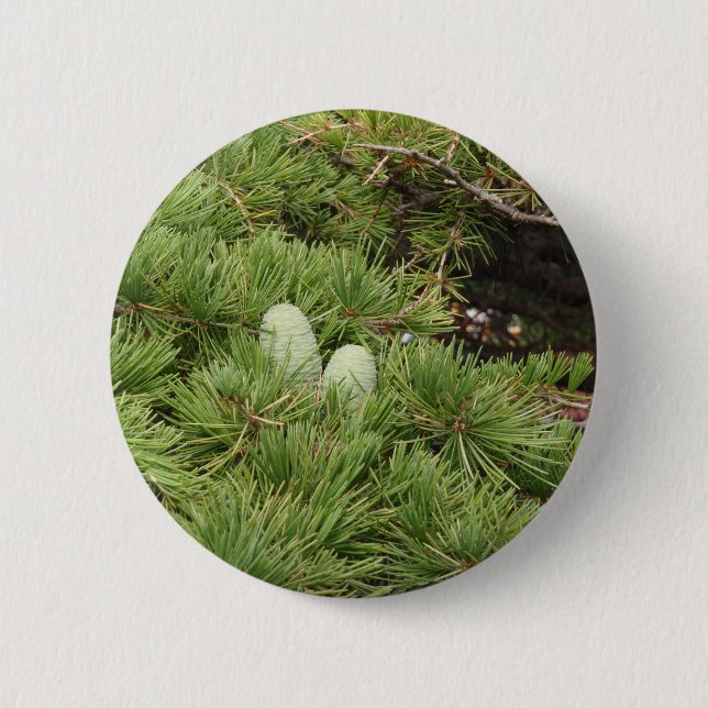 Pine Cones 6 Cm Round Badge (Front)