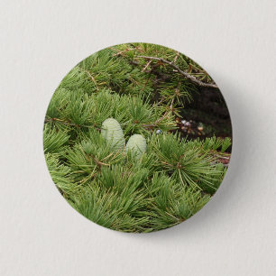 Pine Cones 6 Cm Round Badge