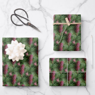 Pine Cones And Pine Needles Nature Pattern  Wrapping Paper Sheet