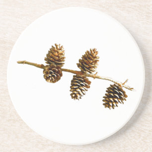 Pine Cones Coaster