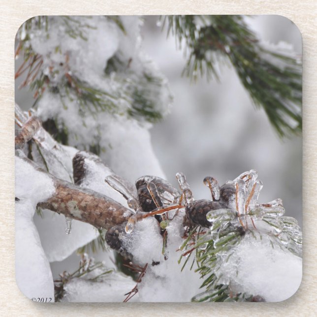 Pine Cones Encased in Ice Coaster (Front)
