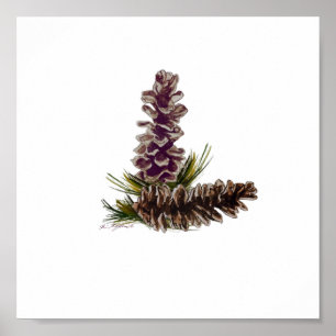 pine cones poster