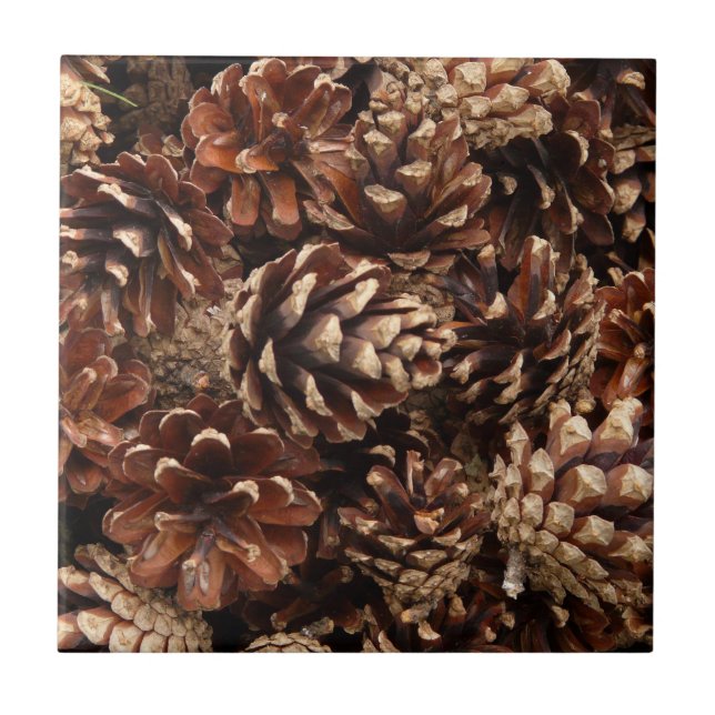 Pine Cones Tile (Front)