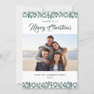 Pine Eucalyptus Foliage Christmas Holiday Photo
