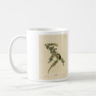 Pine Finch (Pine Siskin), Audubon Birds of America Coffee Mug